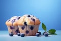 Blueberry muffins with berry fruits Royalty Free Stock Photo