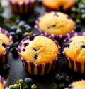 Blueberry muffins on a black background, close-up. Royalty Free Stock Photo