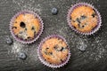 Blueberry muffins and blueberries on black background. Royalty Free Stock Photo