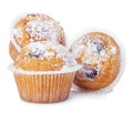 Blueberry muffins close-up isolated on a white background. Royalty Free Stock Photo