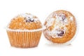 Blueberry muffins close-up isolated on a white background. Royalty Free Stock Photo