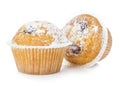 Blueberry muffins close-up isolated on a white background. Royalty Free Stock Photo