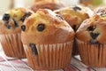 Blueberry muffins