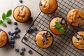 Blueberry muffins with fresh berries