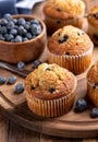 Blueberry Muffins With Fresh Berries Royalty Free Stock Photo