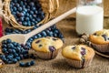 Blueberry muffins Royalty Free Stock Photo