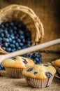 Blueberry muffins Royalty Free Stock Photo