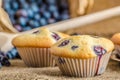 Blueberry muffins Royalty Free Stock Photo