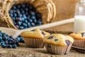 Blueberry muffins Royalty Free Stock Photo