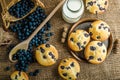 Blueberry muffins Royalty Free Stock Photo