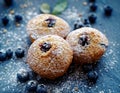 Blueberry muffins sprinkled with icing sugar on dark background Royalty Free Stock Photo
