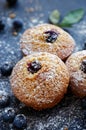 Blueberry muffins sprinkled with icing sugar on dark background Royalty Free Stock Photo