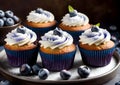 Blueberry muffins with whipped cream and fresh berries. sweet food and desserts