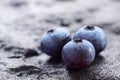 Blueberry (Northern Highbush Blueberry) fruits