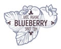 Blueberry organic food and ingredients sketch label vector
