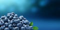 Blueberry organic fruit wooden table copy space blurred background