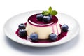 Blueberry Panna Cotta, Fruit Pannacotta, Creamy Italian Dessert, Panacotta with Figs, Raspberries, Strawberries Royalty Free Stock Photo