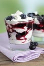 Blueberry parfait