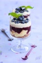 Blueberry parfait Royalty Free Stock Photo