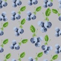 Blueberry pattern background set. Collection icon blueberry. Vector Royalty Free Stock Photo
