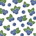 Blueberry pattern background set. Collection icon blueberry. Vector Royalty Free Stock Photo