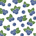 Blueberry pattern background set. Collection icon blueberry. Vector