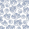 Blueberry pattern background set. Collection icon blueberry. Vector Royalty Free Stock Photo