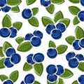 Blueberry pattern background set. Collection icon blueberry. Vector Royalty Free Stock Photo