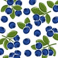 Blueberry pattern background set. Collection icon blueberry. Vector Royalty Free Stock Photo