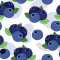 Blueberry Pattern seamless on white background Vector Illustration