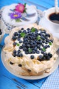 Blueberry pavlova cake Royalty Free Stock Photo