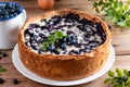 Blueberry pie with cottage cheese on wooden table Royalty Free Stock Photo