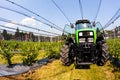 blueberry plantations with mechanization Royalty Free Stock Photo