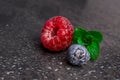 Blueberry and raspberry on black background Royalty Free Stock Photo