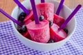 Blueberry and Raspberry Homemade Popsicles