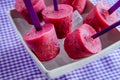 Blueberry and Raspberry Homemade Popsicles