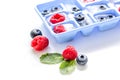 Blueberry and raspberry in ice tray on stone background Royalty Free Stock Photo