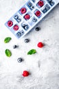 Blueberry and raspberry in ice tray on stone background top view mock-up Royalty Free Stock Photo