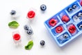 Blueberry and raspberry in icetray on stone background top view Royalty Free Stock Photo