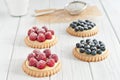 Blueberry and raspberry tartlets Royalty Free Stock Photo