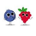 Blueberry and rasperry. Beautiful simple cartoon design. Flat style vector illustration.