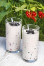 Blueberry and redcurrant smoothie Royalty Free Stock Photo