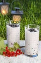 Blueberry and redcurrant smoothie Royalty Free Stock Photo