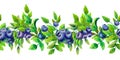 Blueberry. Repetition of summer horizontal border. Floral watercolor. Watercolor compositions for the design of greeting cards or