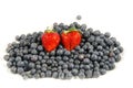 Blueberry`s with two strawberry working together Royalty Free Stock Photo