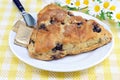 Blueberry Scone