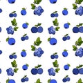 Blueberry seamless pattern by hand drawing on white backgrounds.