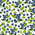 Blueberry seamless pattern