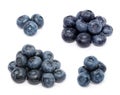 Blueberry set isolated on white background