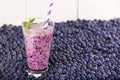 Blueberry smoothie in a glass jar with a straw and sprig of mint Royalty Free Stock Photo